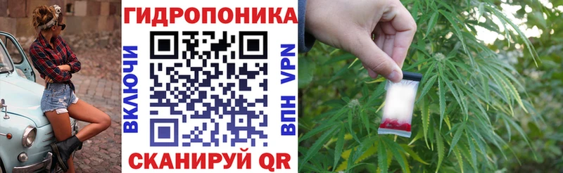 Купить закладку Псилоцибиновые грибы  APVP  Меф мяу мяу  ГАШИШ  Баксан