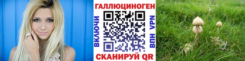 Галлюциногенные грибы прущие грибы  Купить  Баксан 